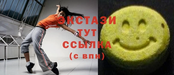 молекула духа Медвежьегорск
