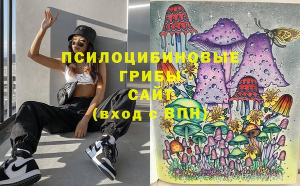 молекула духа Медвежьегорск