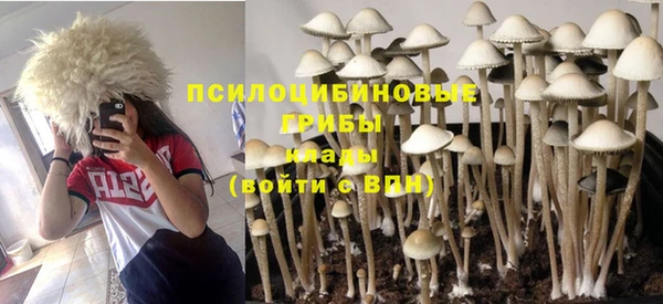 герыч Медногорск