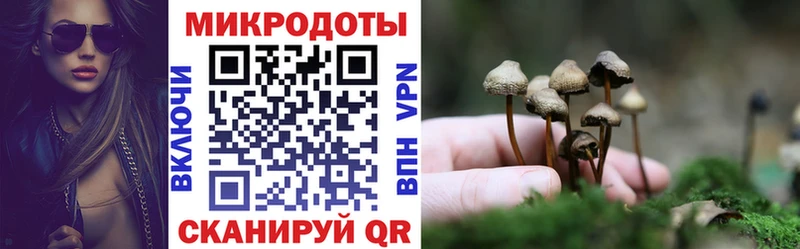 Псилоцибиновые грибы Magic Shrooms  Магнитогорск 